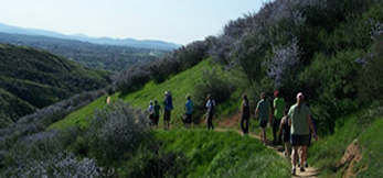 ::strong::Parks::/strong::Open Spaces ::br:: and Multi-Use Trails